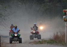 Quad Safari